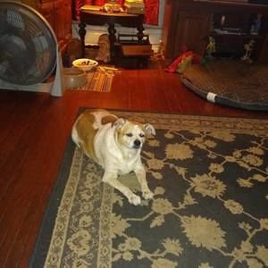 Meet your Posher, Mary